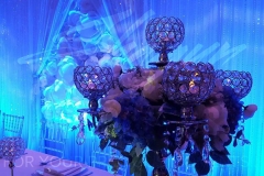 Crystal-Rose-Backdrop-Blue