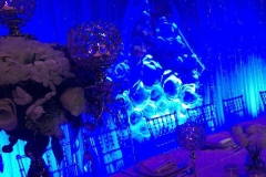 Reception Crystal Rose Backdrop - Blue