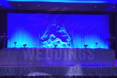 Reception - Crystal Rose Backdrop and Head Table