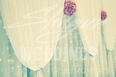 Jaladuta Backdrop in Pink - Close up