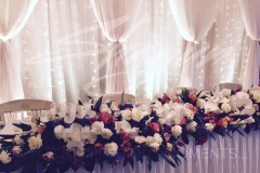 Reception - White Jaladuta Backdrop