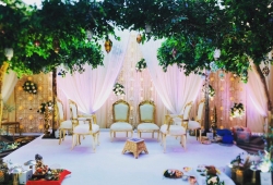 Tree Of Life Mandap